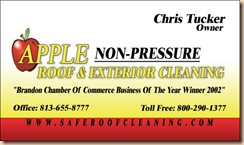 Roof Tampa Cleaning