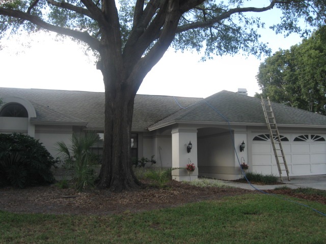 [No Pressure Cleaning Roof Tampa 33602 11-17-2009 2-58-38 AM[2].jpg]