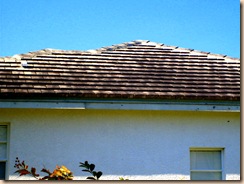 Tampa Non Pressure Roof Cleaning 022 Tampa Non Pressure Roof Cleaning 022