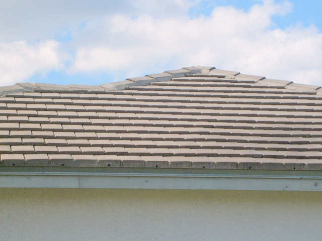 [Tampa Non Pressure Roof Cleaning 026[2].jpg]