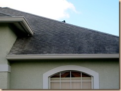 Tampa Non Pressure Roof Cleaning 045 Tampa Non Pressure Roof Cleaning 045