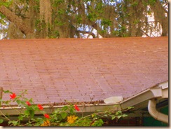 Tampa Roof Cleaning 013 Tampa Roof Cleaning 013