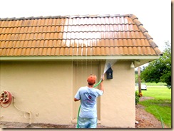 roof cleaning 029 roof cleaning 029