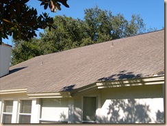Tampa Non Pressure Roof Cleaning 009 Tampa Non Pressure Roof Cleaning 009