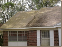 Tampa Roof Cleaning 001