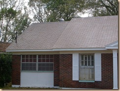 Tampa Roof Cleaning 004