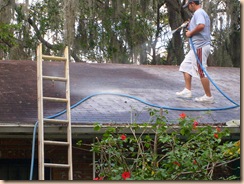 Tampa Roof Cleaning 010