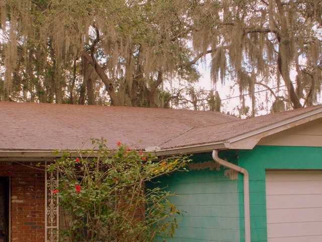 [Tampa Roof Cleaning 011[2].jpg]