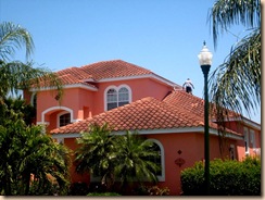 Copy (2) of Tampa Roof Cleaning 003