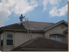 Copy of Tampa Roof Cleaning 036