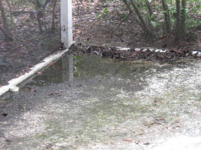 [roof cleaning tampa florida 010[2].jpg]