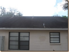 Tile-Roof-Cleaning-33601-Tampa-FL 11-17-2009 3-35-05 AM