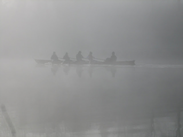 Dans la brume Dans la brume