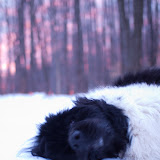 walter-sunrise-1.jpg