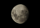 IMGP5100.JPG