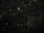 IMG_1749.JPG