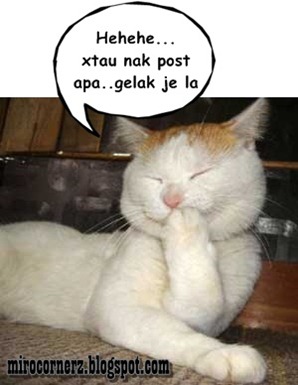 kucing