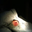 Its my tiny mouth! :P