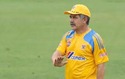 tigres