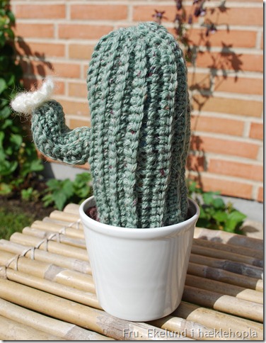 Hæklet kaktus