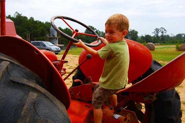 [Max on the tractor[2].jpg]