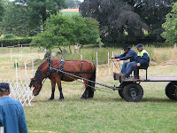 img_1957.jpg