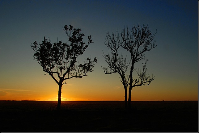 DSC_9675 DSC_9675
