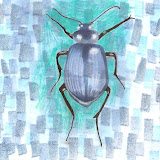 image-11.jpg