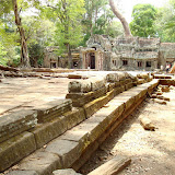 Ta Prohm & Bayon Temples