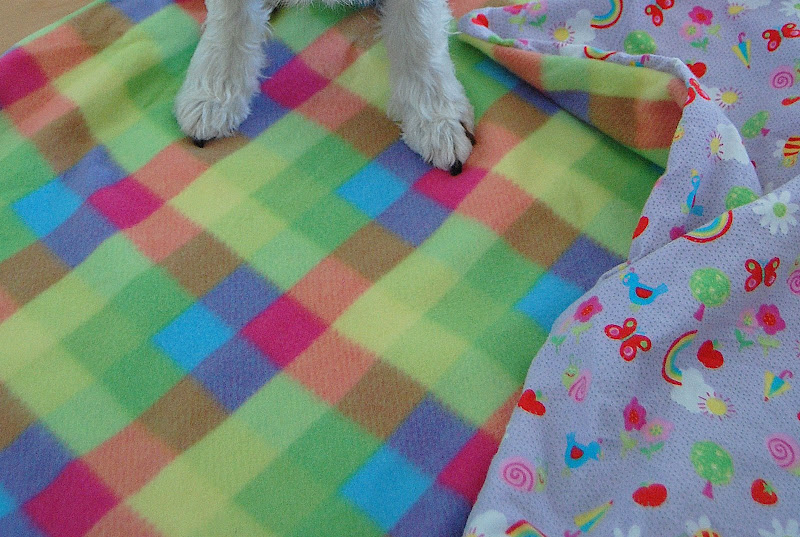 Check out my cool new blanket. I love everything about it!
