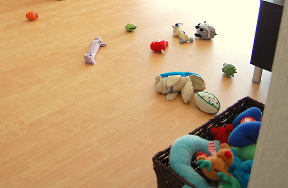I wake up to this... every morning! Apparently, they like to play early in the morning too.