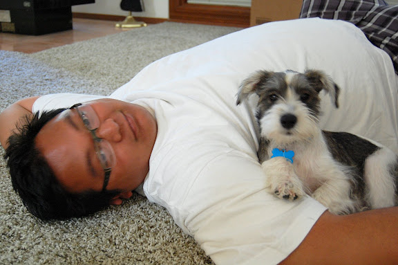 Hilo: Instead of cleaning, Im going to hang out with you!