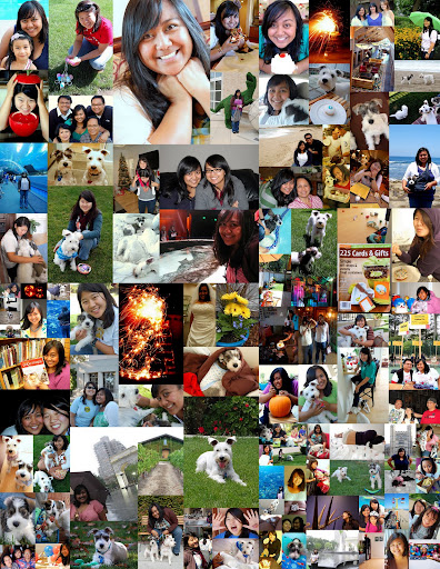 Year in Review