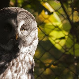 Dierentuin