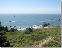 IMG_3581 IMG_3581