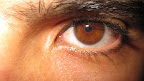 Bird's Eye (plano de pormenor)