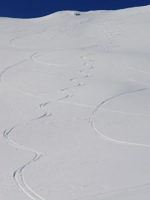 Falkert_20-3-2011_48.JPG