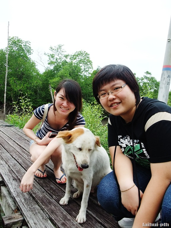 [DSCF467311.jpg]