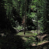 IMG_0891_sm.jpg