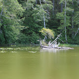 oregon2007_07.jpg