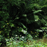 oregon2007_04.jpg