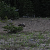 oregon2007w_04.jpg