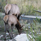 IMG_0015_sm.jpg