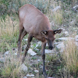 IMG_0019_sm.jpg