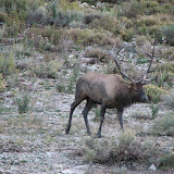 IMG_0025_sm.jpg