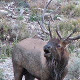 IMG_0028_sm.jpg