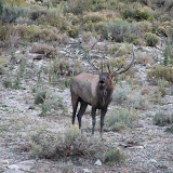 IMG_0030_sm.jpg