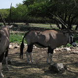 IMG_0164.JPG