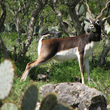 IMG_0199.JPG