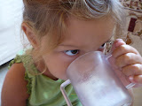 P1010027.JPG
